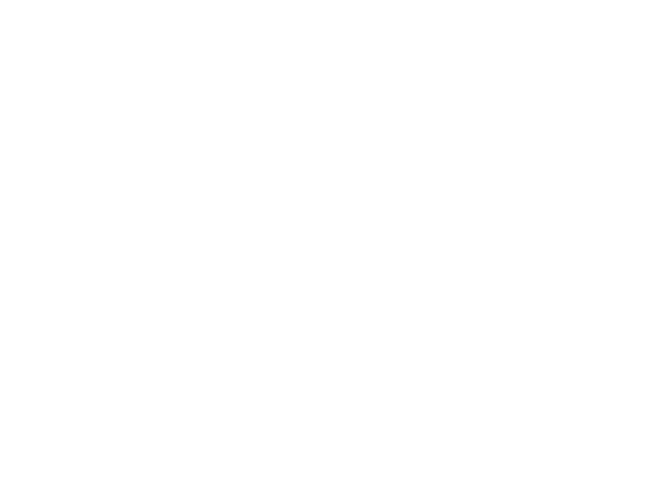 Free stone chip repair offer with car scratch and paint repair service by AutoScratch